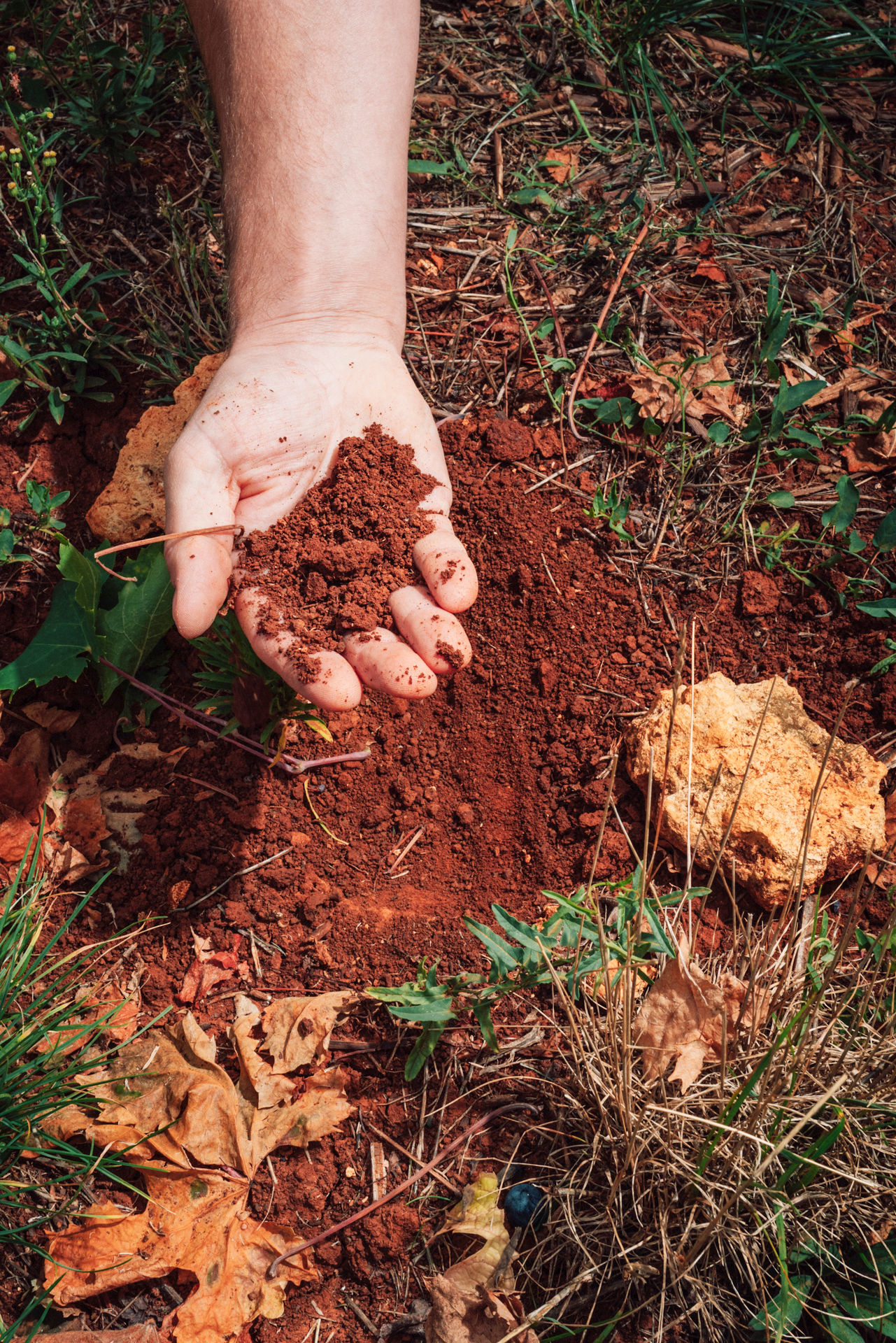 volcanic soil volcanic soil